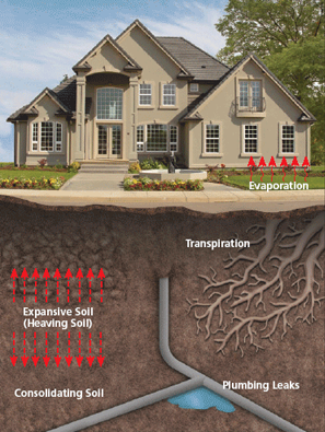sump pumps stop common water issues in virginia