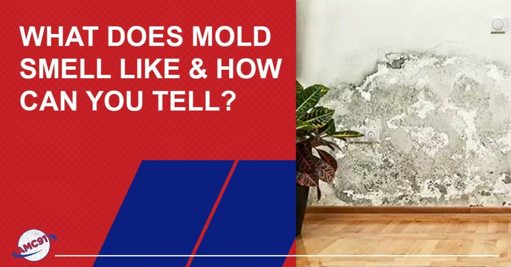 Mold and moisture buildup on wall of a modern house