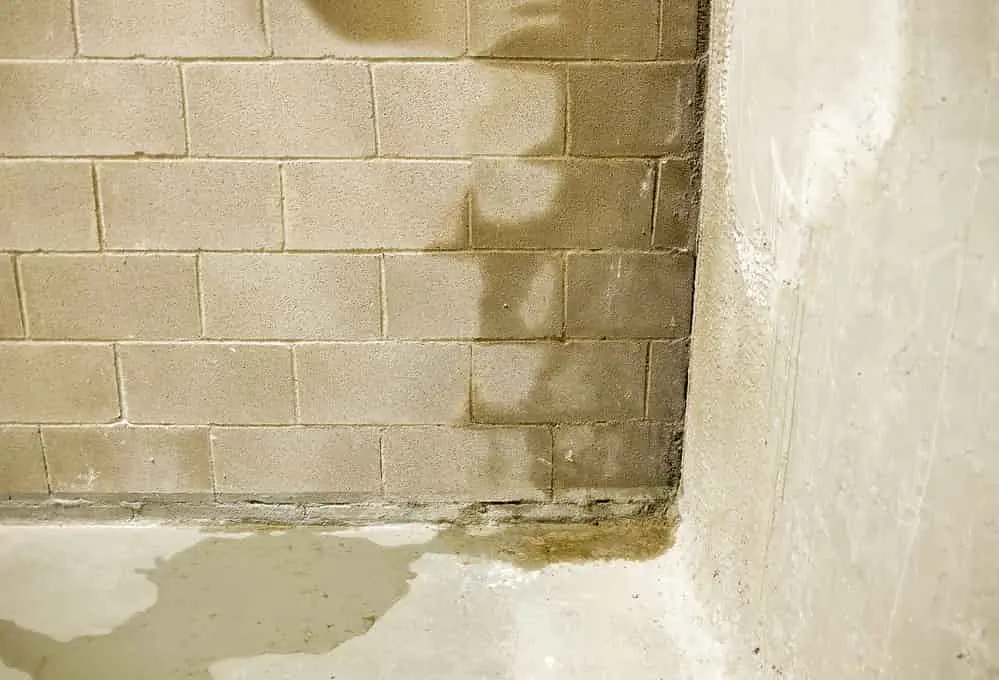 photo of a wet basement wall