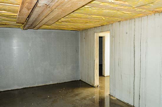 leaky basement