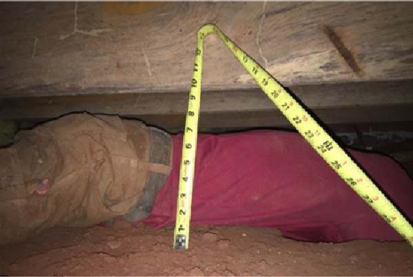 Low Crawl SPace