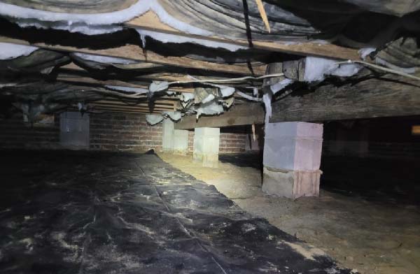 Nasty Crawl Space