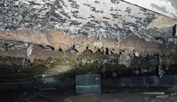 Crawl Space Vapor Barrier