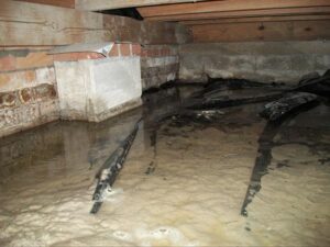 The presence of moisture can also cause wood rot, weakening your home's foundation and compromising its stability. Moreover, excessive moisture in your crawl space can create a breeding ground for bacteria and other harmful microorganisms, which can permeate the air in your home via the stack effect and lead to unpleasant odors and poor indoor air quality.