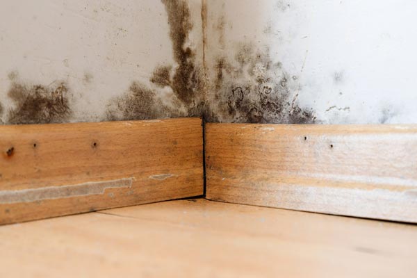 Discover the top 3 reasons for floors separating from walls, how to fix the gap, and prevent future damage.