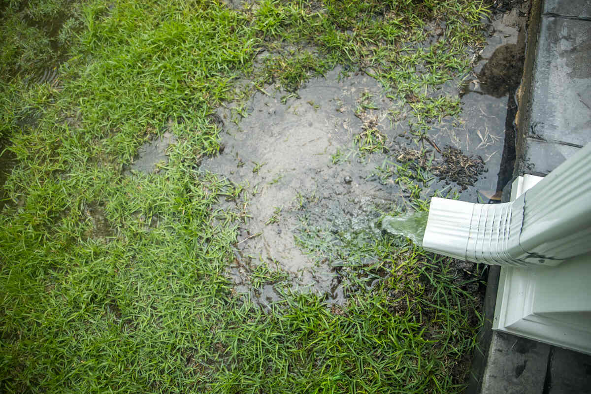How Poor Drainage Affects Your Foundation