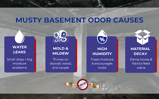 musty basement odor causes