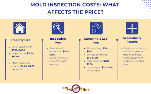 mold inspection costs: what afects the price?