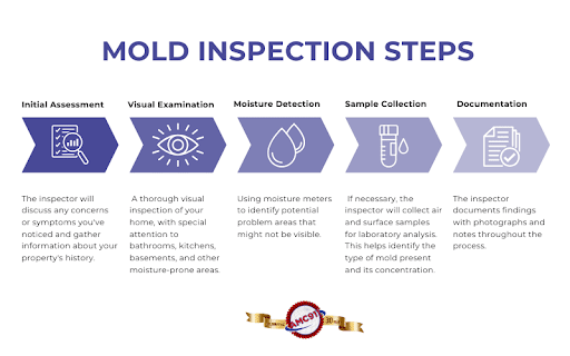 mold inspection steps