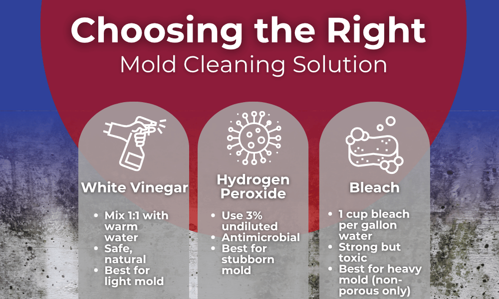 An infographic by AMC911 on how to choose the right mold cleaning solution