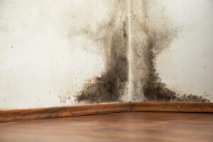How to Remove Mold from Walls: A Complete Guide for Safe and Effective Mold Removal