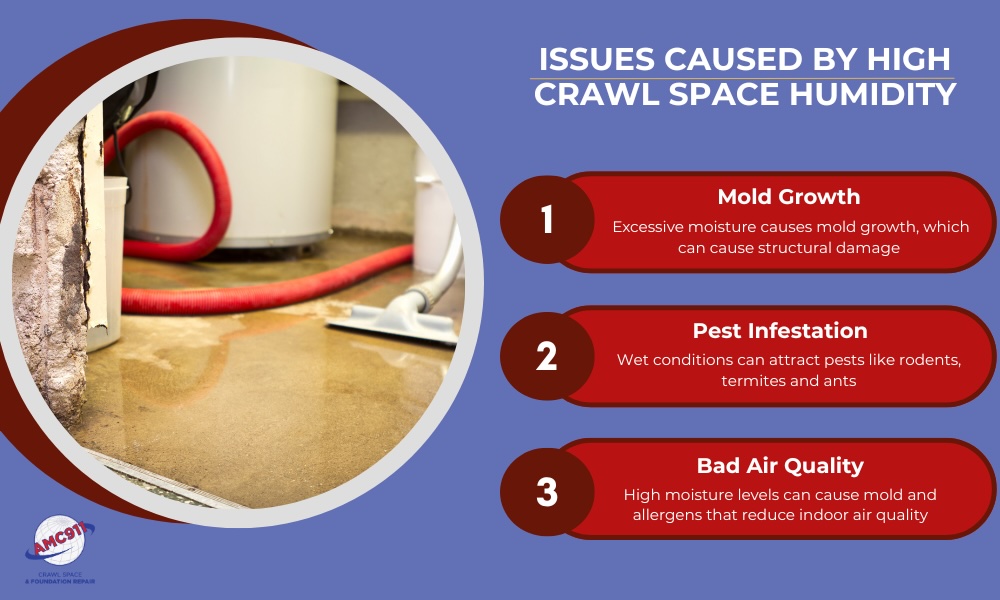 Infographic titled "Issues Caused By High Crawl Space Humidity": 1. Mold Growth (Excessive moisture causes mold growth, which can cause structural damage), 2. Pest Infestation (Wet conditions can attract pests like rodents, termites and ants), and 3. Bad Air Quality. The infographic also features an image of a damp crawl space floor (High moisture levels can cause mold and allergens that reduce indoor air quality).