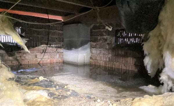 Standing water in basement or crawl space