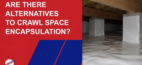 alternatives to crawl space encapsulation