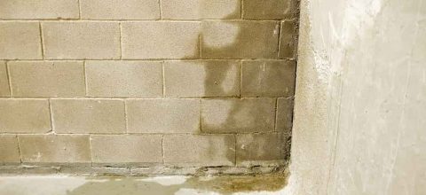 photo of a wet basement wall