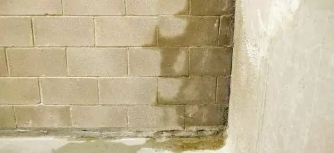 photo of a wet basement wall